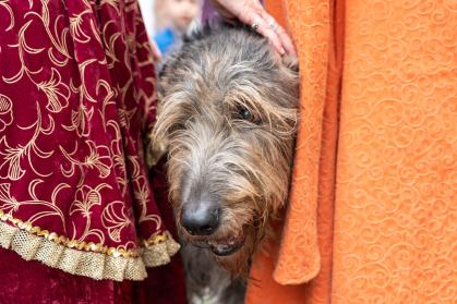 Hond met snuit tussen twee mensen in Hanze kledij